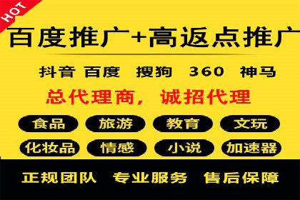 百度SEO推广实战：行业领先企业的成功之道